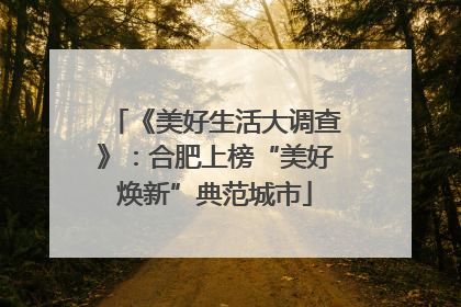 《美好生活大调查》：合肥上榜“美好焕新”典范城市