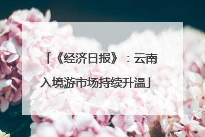 《经济日报》：云南入境游市场持续升温