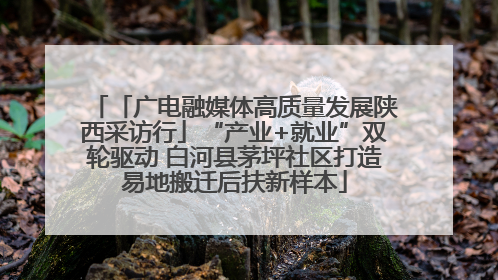 「广电融媒体高质量发展陕西采访行」“产业+就业”双轮驱动 白河县茅坪社区打造易地搬迁后扶新样本