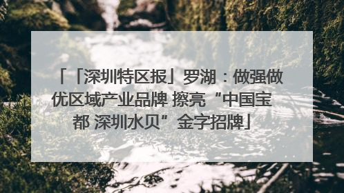 「深圳特区报」罗湖：做强做优区域产业品牌 擦亮“中国宝都 深圳水贝”金字招牌