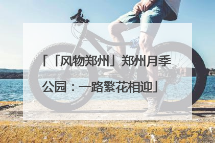 「风物郑州」郑州月季公园：一路繁花相迎