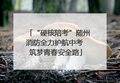 “硬核陪考”随州消防全力护航中考 筑梦青春安全路