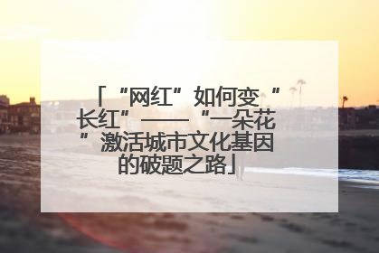 “网红”如何变“长红”——“一朵花”激活城市文化基因的破题之路