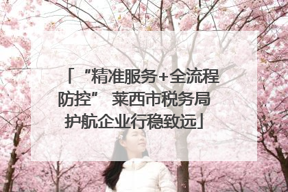 “精准服务+全流程防控” 莱西市税务局护航企业行稳致远