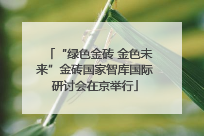 “绿色金砖 金色未来”金砖国家智库国际研讨会在京举行