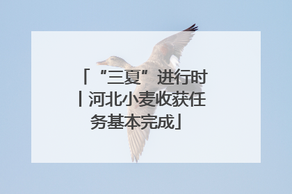 “三夏”进行时丨河北小麦收获任务基本完成