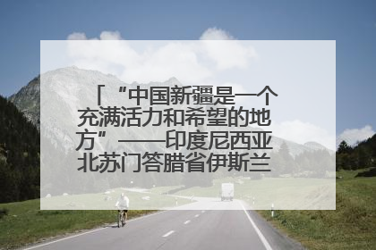 “中国新疆是一个充满活力和希望的地方”——印度尼西亚北苏门答腊省伊斯兰教代表团参访新疆