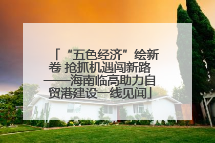 “五色经济”绘新卷 抢抓机遇闯新路——海南临高助力自贸港建设一线见闻
