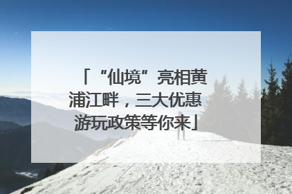 “仙境”亮相黄浦江畔，三大优惠游玩政策等你来