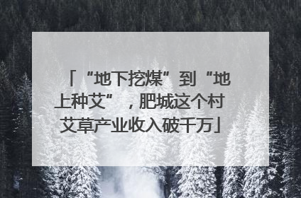 “地下挖煤”到“地上种艾”，肥城这个村艾草产业收入破千万