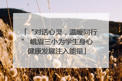“对话心灵，温暖同行” 峨眉三小为学生身心健康发展注入能量