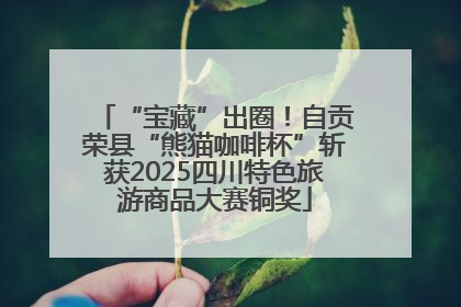 “宝藏”出圈！自贡荣县“熊猫咖啡杯”斩获2025四川特色旅游商品大赛铜奖