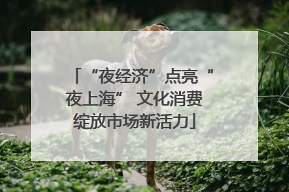 “夜经济”点亮“夜上海” 文化消费绽放市场新活力