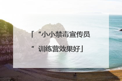 “小小禁毒宣传员”训练营效果好