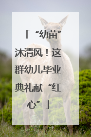 “幼苗”沐清风！这群幼儿毕业典礼献“红心”