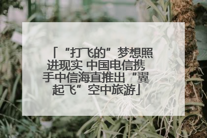 “打飞的”梦想照进现实 中国电信携手中信海直推出“翼起飞”空中旅游