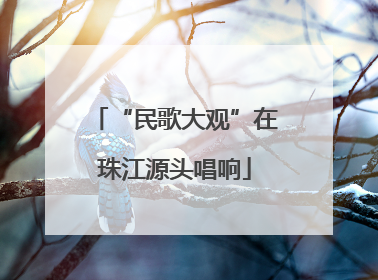 “民歌大观”在珠江源头唱响