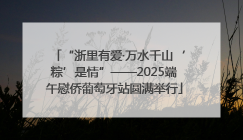 “浙里有爱·万水千山‘粽’是情”——2025端午慰侨葡萄牙站圆满举行