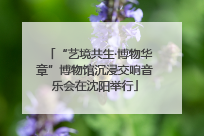“艺境共生·博物华章”博物馆沉浸交响音乐会在沈阳举行