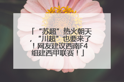 “苏超”热火朝天，“川超”也要来了！网友建议西南F4组建西甲联赛！