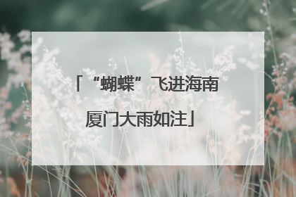 “蝴蝶”飞进海南 厦门大雨如注