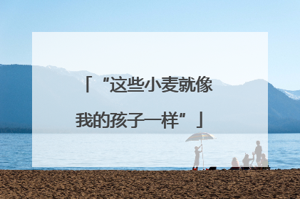 “这些小麦就像我的孩子一样”