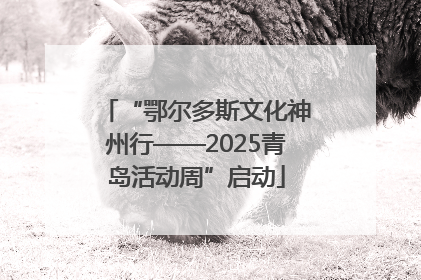 “鄂尔多斯文化神州行——2025青岛活动周”启动