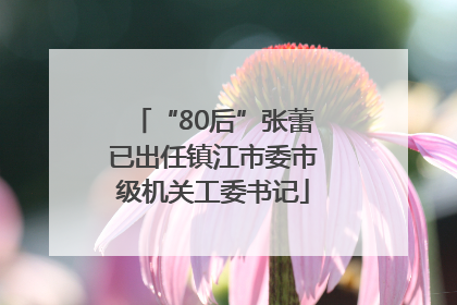 “80后”张蕾已出任镇江市委市级机关工委书记