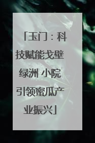 玉门：科技赋能戈壁绿洲 小院引领蜜瓜产业振兴