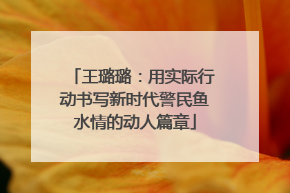 王璐璐：用实际行动书写新时代警民鱼水情的动人篇章