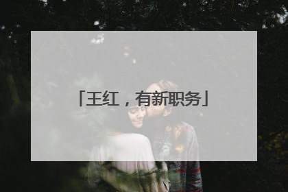 王红，有新职务