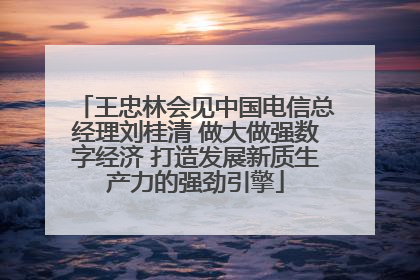 王忠林会见中国电信总经理刘桂清 做大做强数字经济 打造发展新质生产力的强劲引擎
