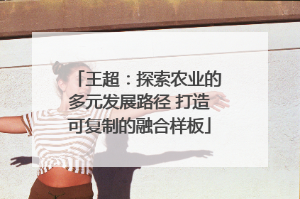 王超：探索农业的多元发展路径 打造可复制的融合样板