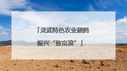 灵武特色农业翻腾振兴“致富浪”