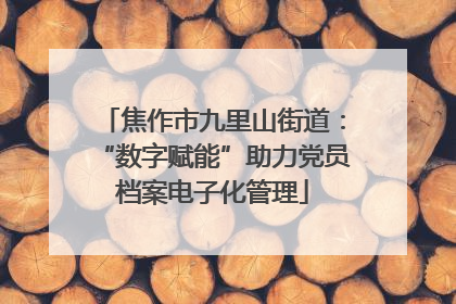 焦作市九里山街道：“数字赋能”助力党员档案电子化管理