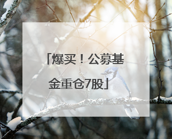 爆买！公募基金重仓7股