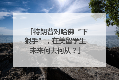特朗普对哈佛“下狠手”，在美留学生未来何去何从？