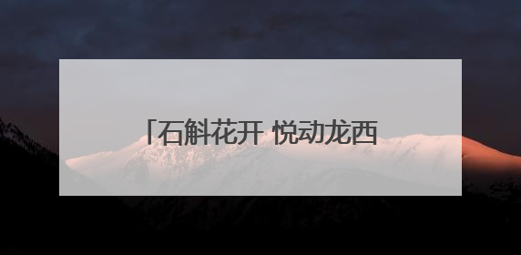 石斛花开 悦动龙西 2025龙西乡荧光村跑活动圆满举行