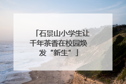 石景山小学生让千年茶香在校园焕发“新生”