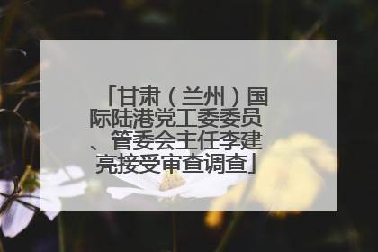 甘肃（兰州）国际陆港党工委委员、管委会主任李建亮接受审查调查