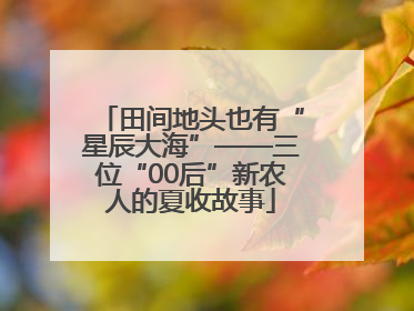 田间地头也有“星辰大海”——三位“00后”新农人的夏收故事