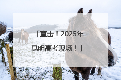 直击！2025年昆明高考现场！