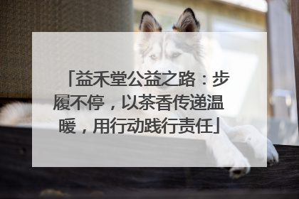 益禾堂公益之路：步履不停，以茶香传递温暖，用行动践行责任