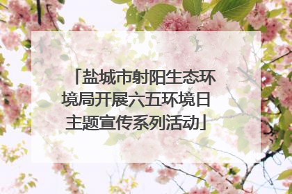 盐城市射阳生态环境局开展六五环境日主题宣传系列活动