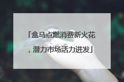 盒马点燃消费新火花，潜力市场活力迸发