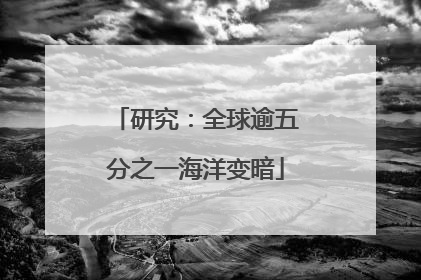 研究：全球逾五分之一海洋变暗