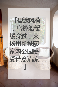 碧波风荷，乌篷船缓缓穿过，来扬州新城廖家沟公园感受诗意清凉