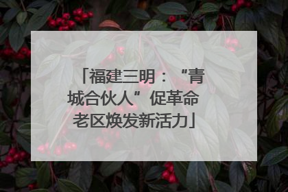 福建三明：“青城合伙人”促革命老区焕发新活力