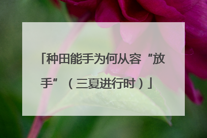 种田能手为何从容“放手”（三夏进行时）