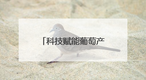科技赋能葡萄产业 精准服务助农增收——河南省葡萄产业科技特派员服务团太康县科技服务纪实